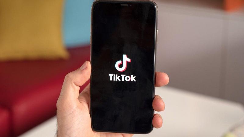 Trump seeks Supreme Court delay on TikTok ban until inauguration