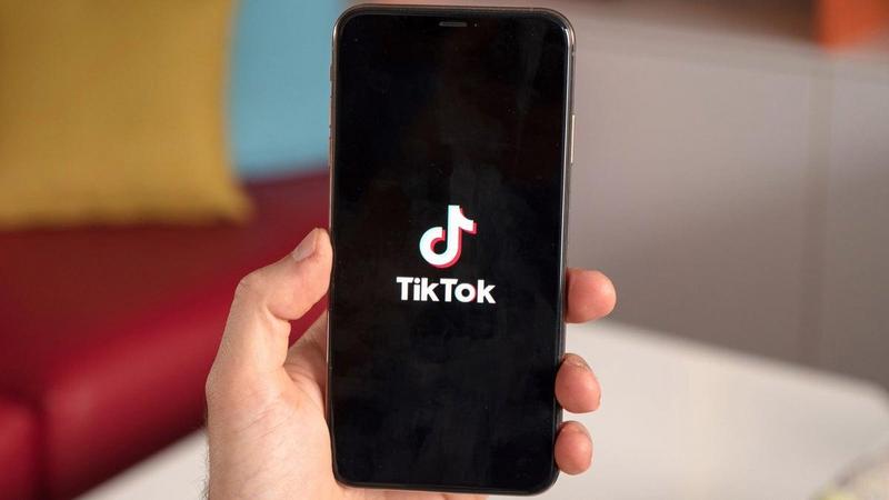 TikTok's privacy disaster escalates, costing billions